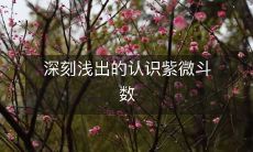 经验分享:以浅显易懂的方式深刻理解紫微斗数技术