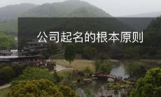 探讨公司起名的根本原则,以帮助企业打造具有吸引力和品牌力的名称