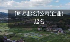 如何利用周易之道为你的公司(企业)量身定制起一个吉利而具有意义的名字？