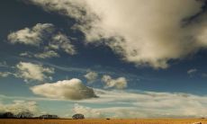 预测:2023年生肖羊的运势表现良好,人缘广泛且有不错的偏财运