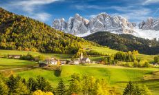 2023年十二生肖的全面运势预测:揭秘生肖狗的不如意之处