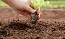 心灵敏感、脆弱的手相持有者难以承受人生挫折与打击