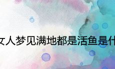 女性梦见浑身是活鱼,象征着什么呢?