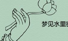 做梦梦见水中簇簇密密的鱼群,这个梦的象征意义是什么?