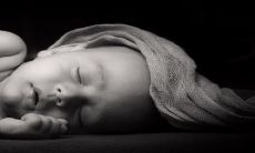 如何在2023年为你的兔宝宝取名?专家分享属兔孩子起名技巧,并推荐楚辞作为优秀兔宝宝名字的选择!