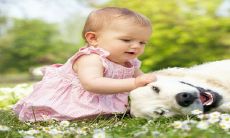 2023年兔宝宝出生了，来看看宋氏起名专家的新生宝宝取名技巧，如何为属兔的宝宝取个最美好的名字？