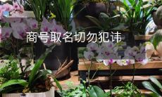 在开办新公司时，切忌犯讳——关于商号取名的重要建议