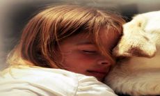 2023年迎来兔宝宝:男女皆适宜的姓王起名宝典