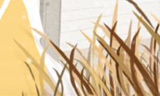 哪个星座在爱情中表现最为自我?