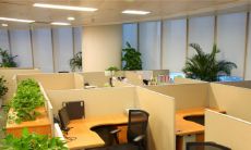 非同凡响且具有气势的名字:科技有限公司命名的策略