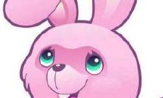 2020年6月，属兔的人的综合运势和命运趋势如何？