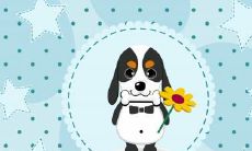 小区夜晚遭遇犬吠不休 持续一小时惹人困扰