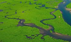 2023年正月初五的接财神准备：迎接财源滚滚的大年初五寓意深远