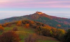 探寻2023年正月初五的佛教节日，揭秘迎接财神的最佳时间