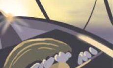 当12星座出轨时,应如何妥善解决,以避免双方伤害和长期影响?