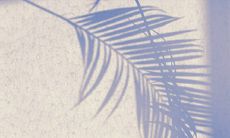 华山圣母圣诞，也即正月初三，是菩萨的生日庆典