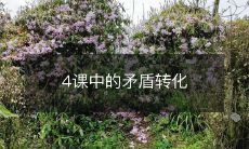如何在4节课中运用矛盾转化来化解问题?