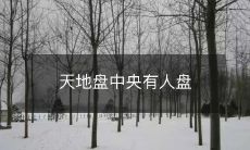 天地盘的中央竟有位人盘坐其中,昭示宇宙奥秘!