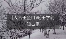 【详解大六壬金口诀】- 为成为壬学高手,了解占宗先行