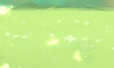 大全：不要在约会中犯这些与12星座男生的忌讳