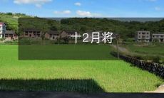 到来，这是备孕者应开始准备备孕的时间，包括健康饮食、锻炼、调整生活习惯等多方面因素，以提高生育成功率