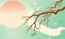 正月初二回娘家的文化背景及回门寓意解析:探究过年期间回娘家的重要性及其象征意义