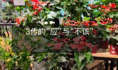 探讨三个传统文化的“应该做”与“不应该做”的观念:反思传统文化中的道德标准与社会规范