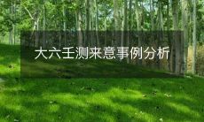 详解大六壬测算:实际案例分析来意之道
