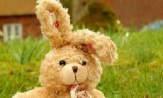 2023年值太岁的属相是兔——在犯太岁的命理学中对兔年出生者的影响解析