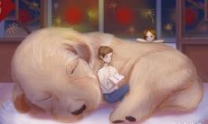 当听到狗狂吠或沉默,你家里的人会面临何种情况和它们所代表的意义?