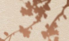 正月初一菩萨生日祈福上供的由来和讲究是什么？