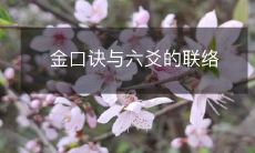 探究金口诀与六爻之间的联系与互动机制