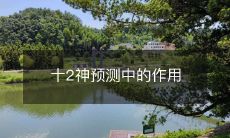 探析十二神预测对人生决策的影响及作用分析