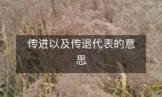 什么是传进代表和传退代表,在编程语言中代表着什么意思?