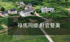 祿馬同鄉,财政官员与美丽女性的瑰丽交织之旅