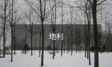 人和天时的重要性:探究地理位置、文化习俗、个人条件、气候和自然环境在成功取得优势的作用