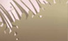 十二星座当中，哪个时间是最适合表白的？达到成功率最高的秘诀大揭秘！