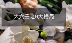 《大六壬》中的九大格局:深度解析大六壬术中最重要的预测模式