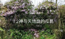 十2神及其与天地盘之间的密切关系解析