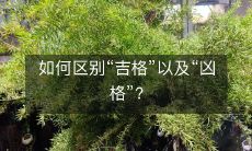 如何区分命理学中的吉格与凶格，以帮助人们更好地了解自身命运？