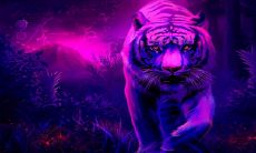 2023年属虎人生肖为子，定能喜迎可爱儿子的到来！