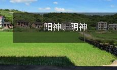 一个关于太阳神和月亮神的对比:阳神和阴神