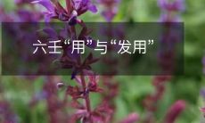 六壬算命术的“用法”与“发扬运用法”的探讨