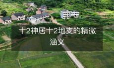 透彻解读十2神居与十2地支之间的微妙联系与深刻内涵