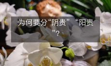 为什么需要将贵人分为“阴贵”和“阳贵”呢?