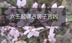 通过六壬起课来占测房屋的吉凶祸福