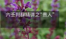 详解六壬判辞中的“贵人”:探究财神、官星、文昌等吉祥之气的古代兵法指南