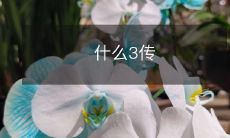 什么是3代传输及其应用场景?