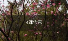 探究深度——解读四节课的隐含含义