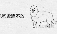 女性做梦时遭到狗的紧追不舍，这一心理现象所蕴含的内在含义是什么？